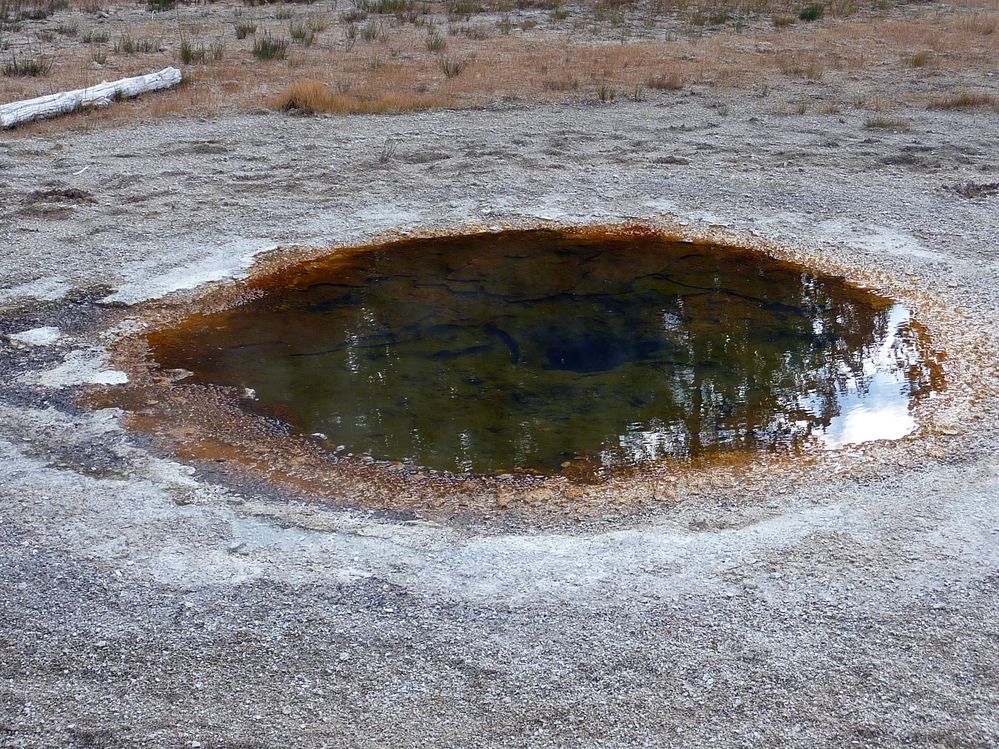 Yellowstone Old faithfull et ses environs (73).JPG